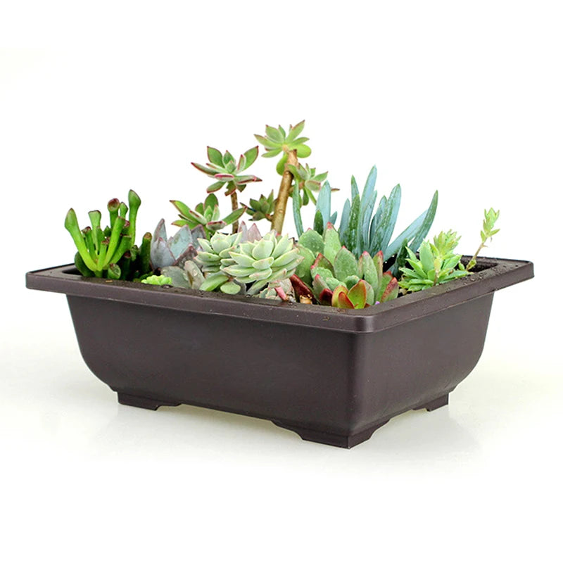 pot plantes rectangulaire moderne marron foncé grille drainage support base plastique
