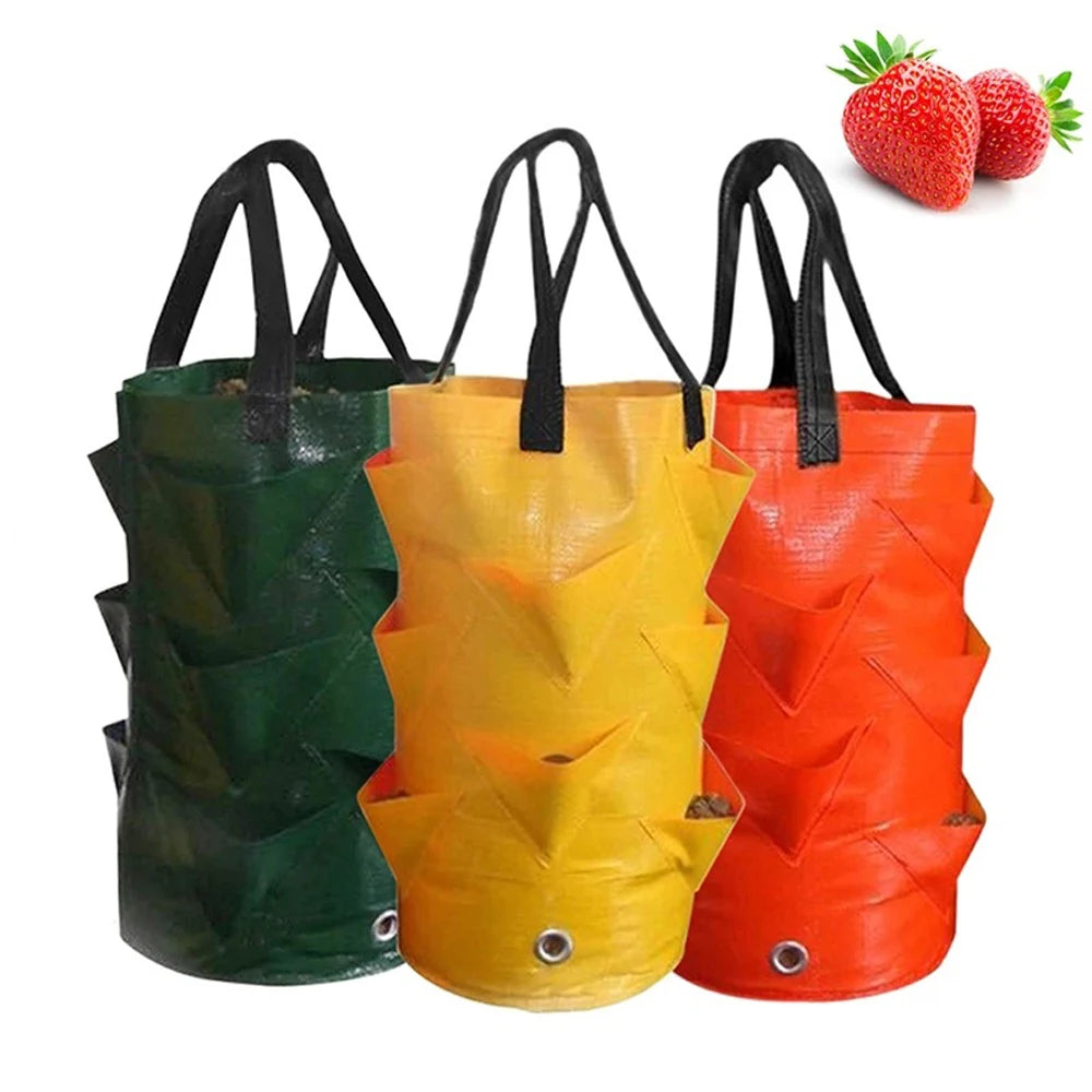 sac provisions pliable vert jaune orange plissé moderne opaques étagères culture plantes fruits légumesétales