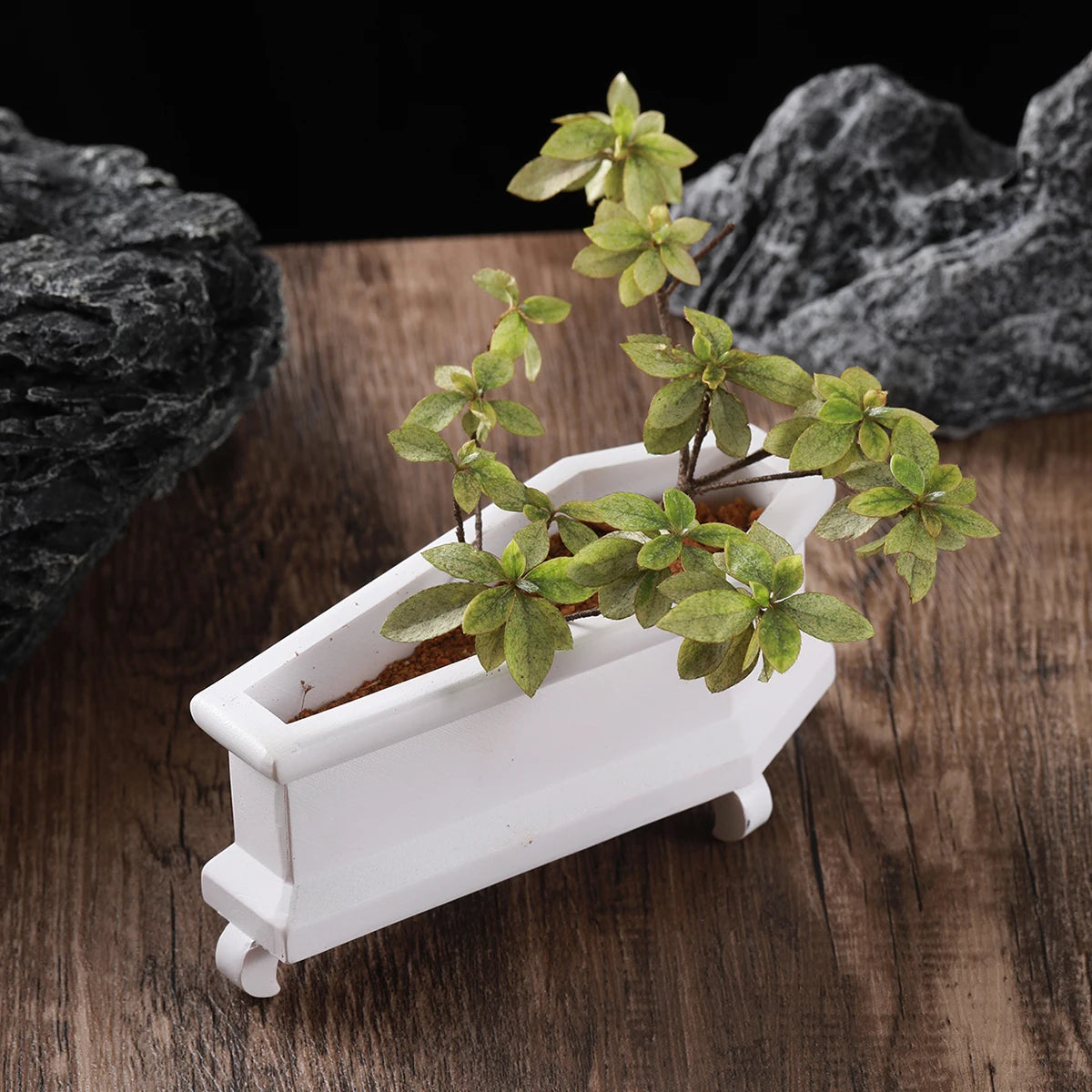 cache pot rectangulaire noir blanc epoxy classique pieds plantes vertes