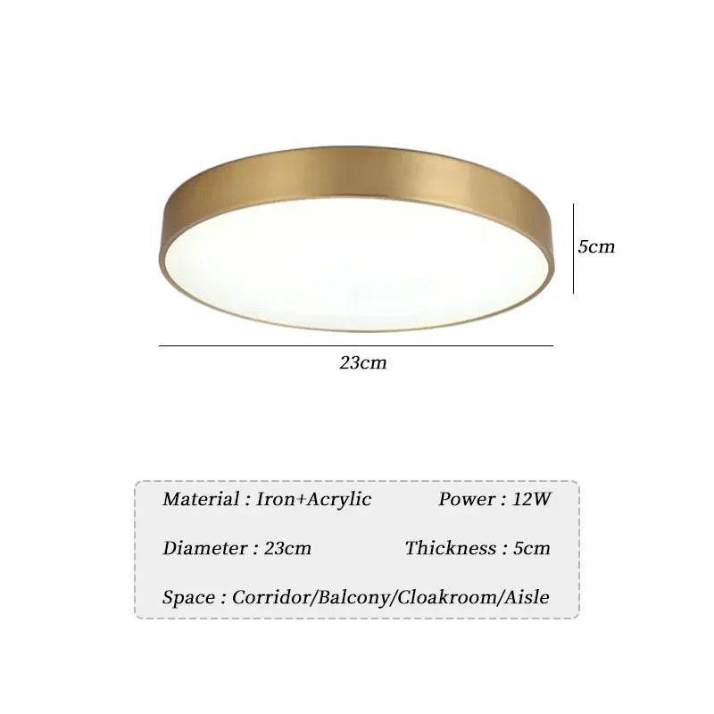 plafonniers led modernes or blanc minimaliste 10~15 ampoules 220v télécommande