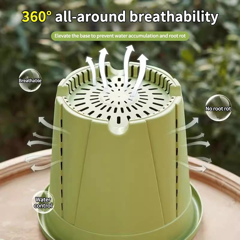 pots racines plastique moderne vertclair beige bleufoncé rayures grille drainage support hydroponie plantes