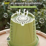 pots racines plastique moderne vertclair beige bleufoncé rayures grille drainage support hydroponie plantes