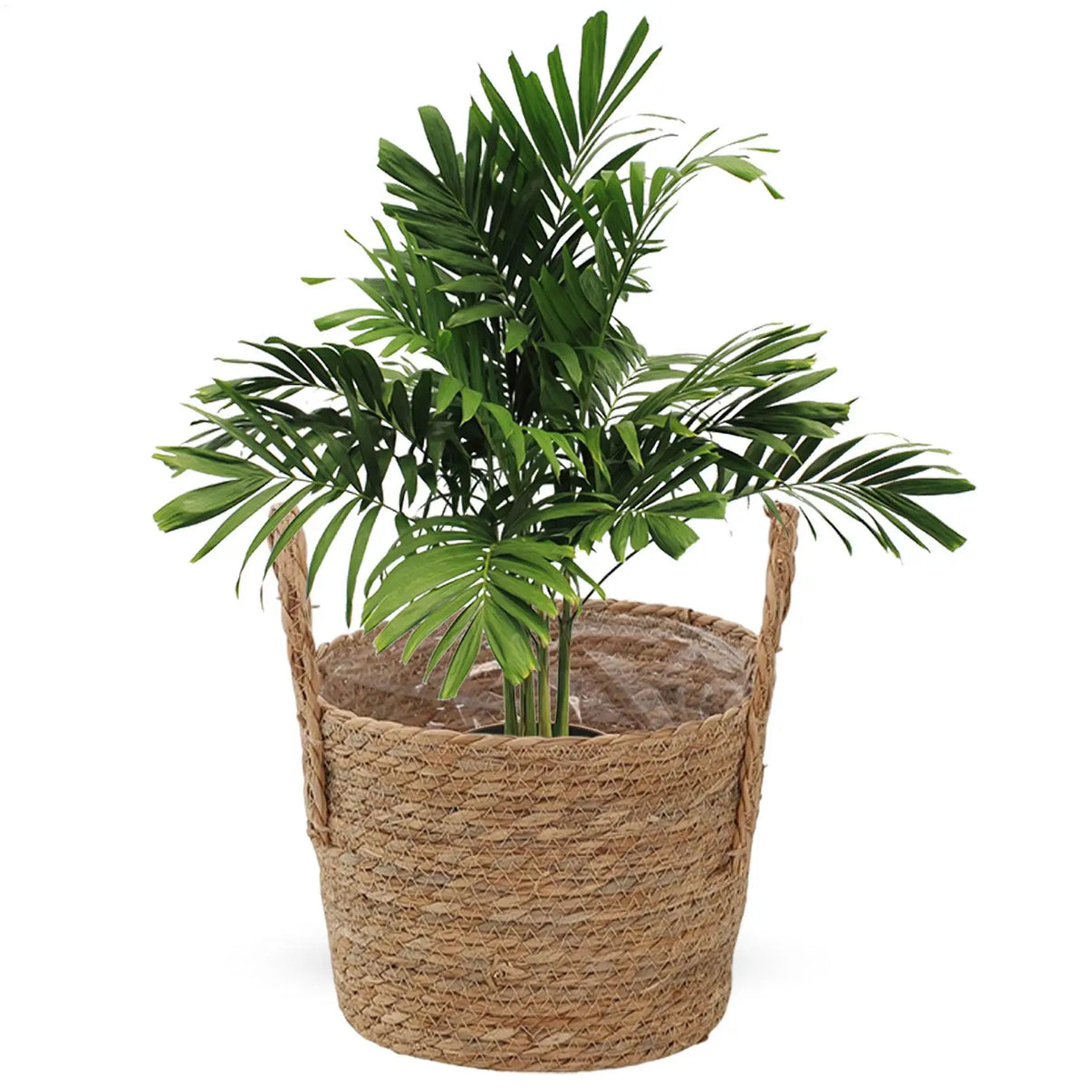 panier osier marron clair tissé rustique poignées cordelette balcon jardin intérieur vases plantes geometrie