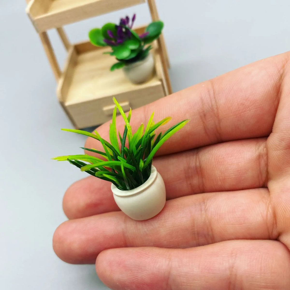 étagère plante moderne mini pots bois blanc succulentes ornement verdureintérieur