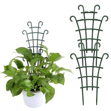 support plante grimpante treillis structure grille vert foncé élément décoratif plantes pothos basilic monstera