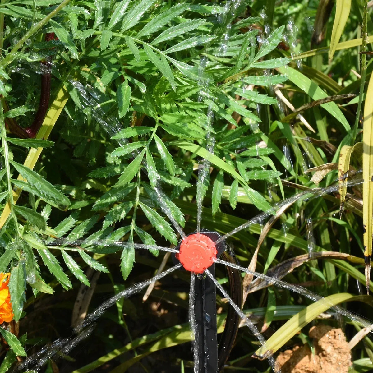 supports fixation tuyaux d'irrigation goutte goutte kit arrosage tiges plastique attaches colliers serrage jardinage