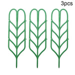 supports plante grimpante treillis feuilles vintage pots verts tiges fixantes aménagement serre