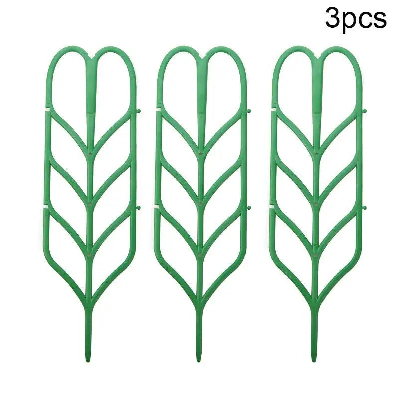 supports plante grimpante treillis feuilles vintage pots verts tiges fixantes aménagement serre