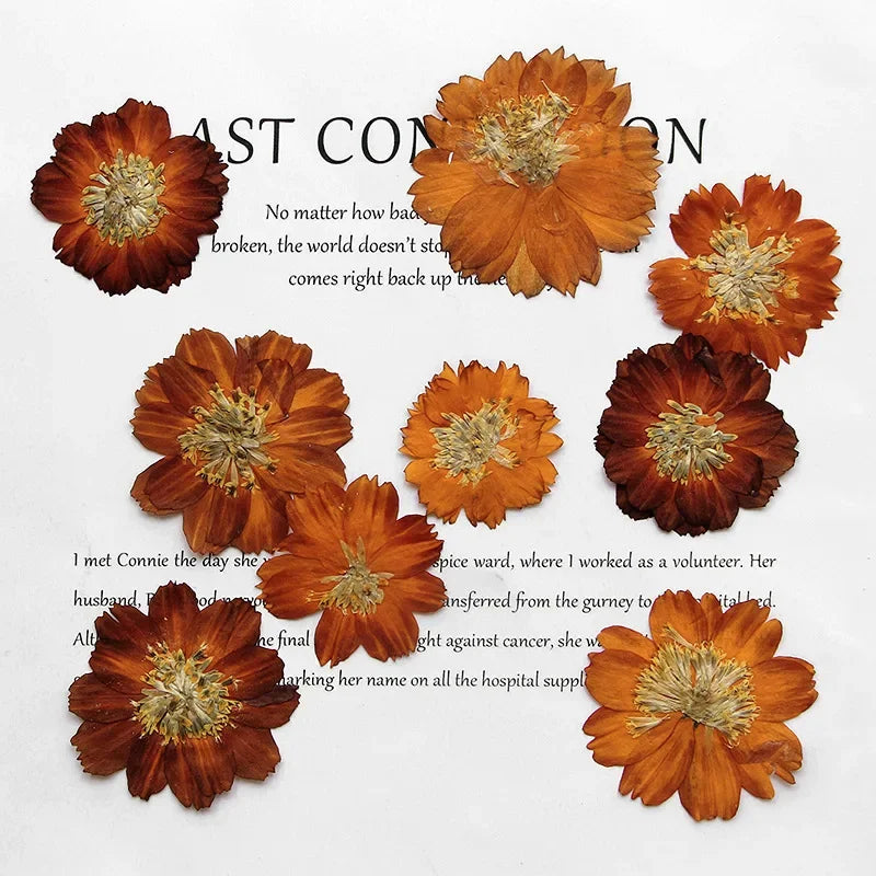 fleurs séchées chrysanthèmes orange rouge brun décoration naturelle vintage anniversaire baby shower