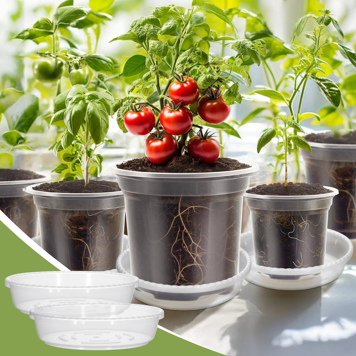 pots fleurs plastique moderne transparent intérieur drainage plantes semis minimaliste