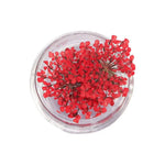 décorations nail art fleurs séchées violet rose vert rouge orange blanc naturel strass ongles
