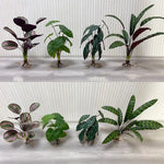 décoration murale moderne plante artificielle feuilles vertes racines apparentes salon chambre coucherextérieur