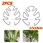 Support tiges plantes or spirale moderne fixations adhésives grandes plantes intérieures pothos philodendron monstera