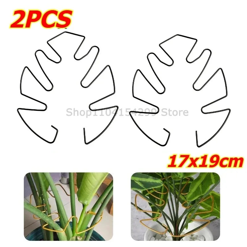 Support tiges plantes or spirale moderne fixations adhésives grandes plantes intérieures pothos philodendron monstera