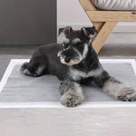 tapis absorbant chien gris texture microfibre quadrillée adhésif rapide séchage sans odeur moderne fonctionnel