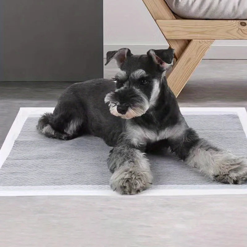 tapis absorbant chien gris texture microfibre quadrillée adhésif rapide séchage sans odeur moderne fonctionnel