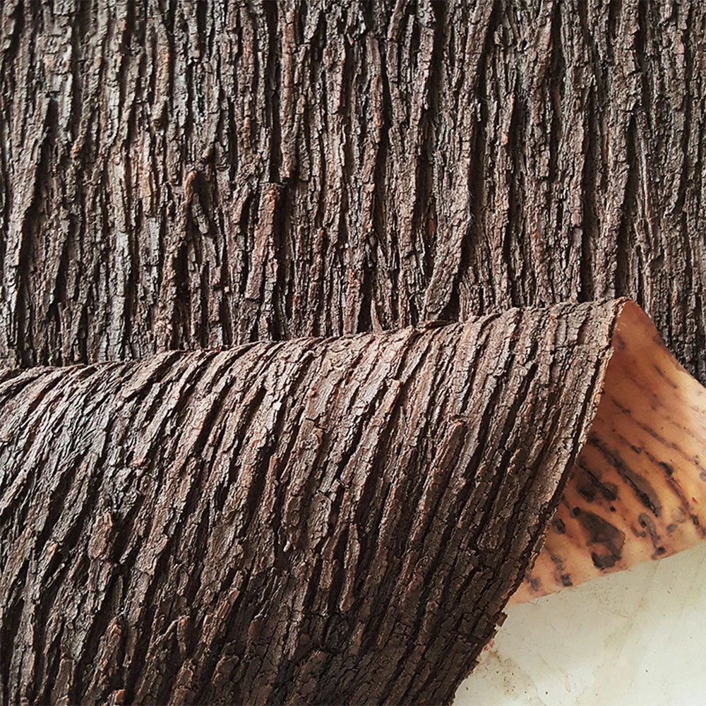 décoration murale tronc arbre marron feuilles vertes texture naturelle extérieur intérieur