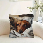 housse coussin chien teckel animal mignon polyester moderne 45x45cm sans insert opacité contemporain