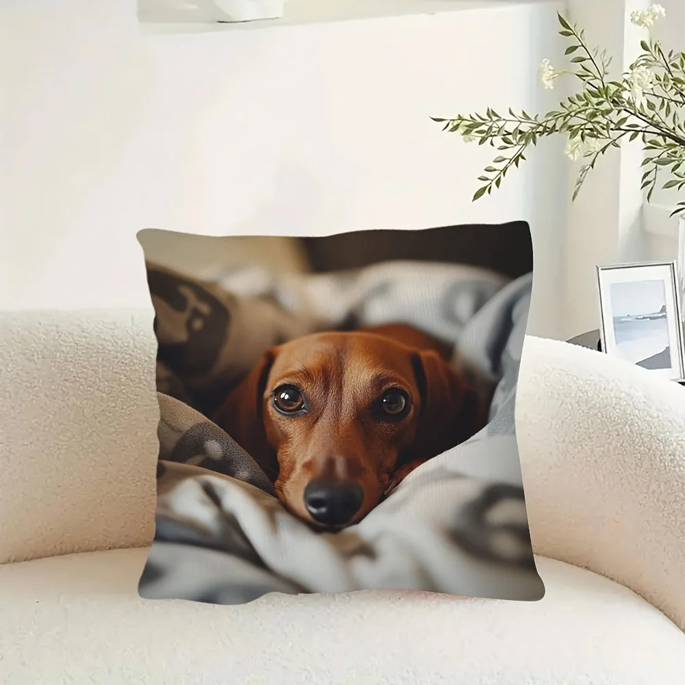 housse coussin chien teckel animal mignon polyester moderne 45x45cm sans insert opacité contemporain