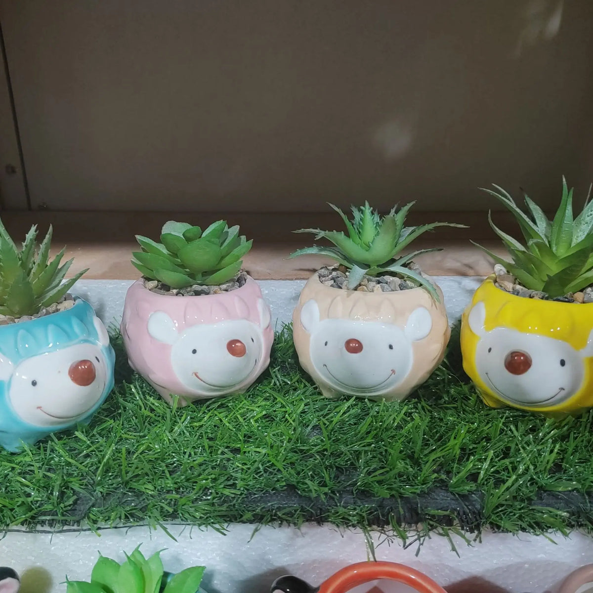 cache pots animaux mignons porc chien renard hérisson bleu rose gris orange blanc opacité