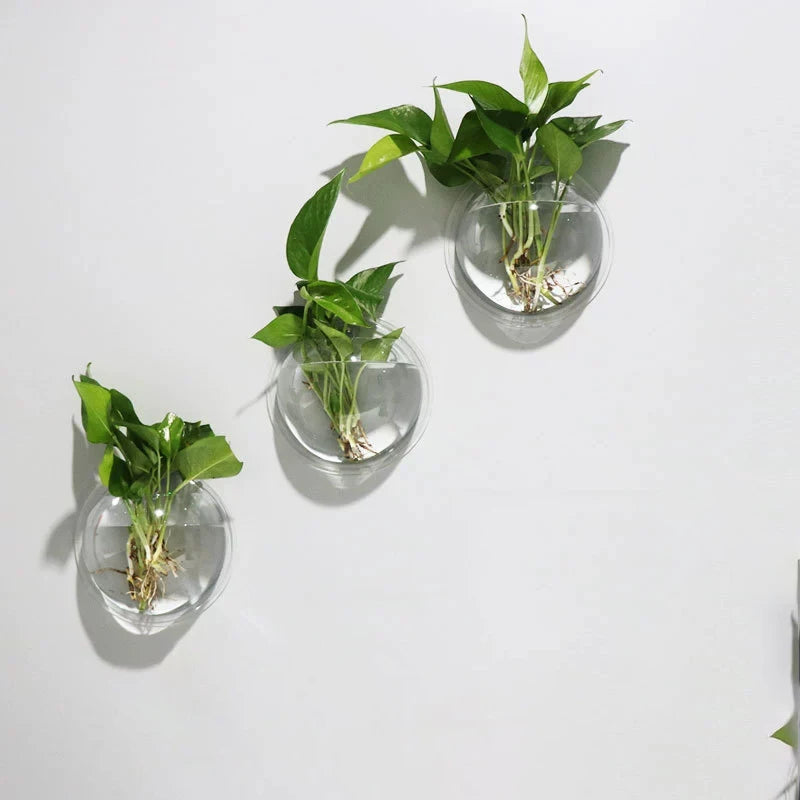 vases murals verre transparents modernes autoarrosants decoration maison adhesifs longueurance hydroponiques