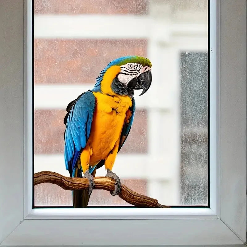 décoration murale oiseaux réalistes plumage brillant moderne pvc bleu jaune vert noir blanc rouge