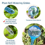 globe arrosage automatique plantes transparent bleu vert jaune rouge kit irrigation moderne simple pièces