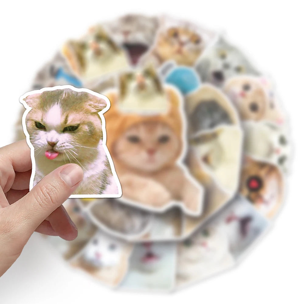 stickers adhésifs chats expressions faciles utiliser variés cartoongrats décoration jouets différents amusants