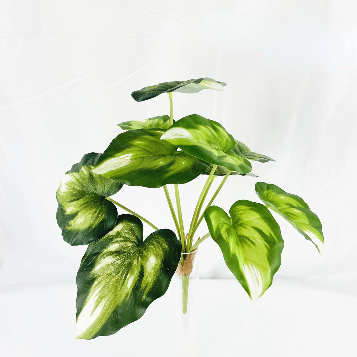 plante artificielle décorative feuilles vertes blanches rouges salon maison moderne naturel