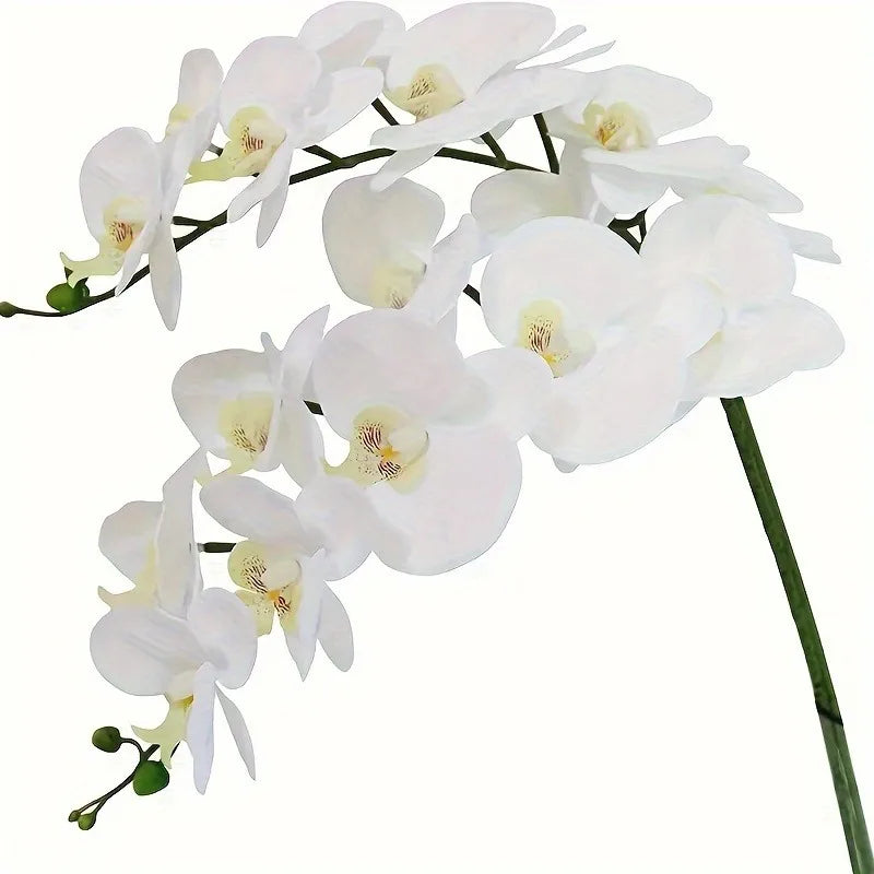 décoration intérieure orchidées artificielles phalaenopsis blanc moderne fête mariage anniversaire baby shower