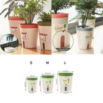 pots plantes hydroponiques auto arrosage succulentes modernes minimalistes beige vert marron orange