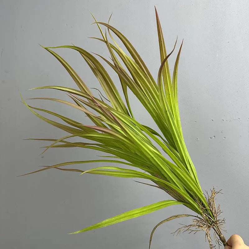 décoration intérieure plante artificielle herbe naturelle vase céramique feuilles vertes longues maison festive