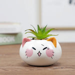 jardinière céramique cache pot succulente visage cartoon blanc orange rose gris noir