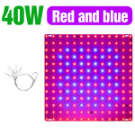 lampe led culture plantes rose rouge bleu moderne grille led crochets adaptateurs eu us