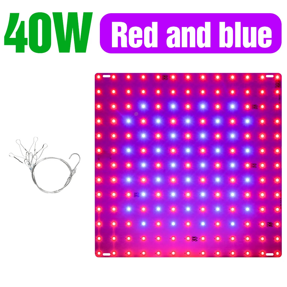 lampe led culture plantes rose rouge bleu moderne grille led crochets adaptateurs eu us