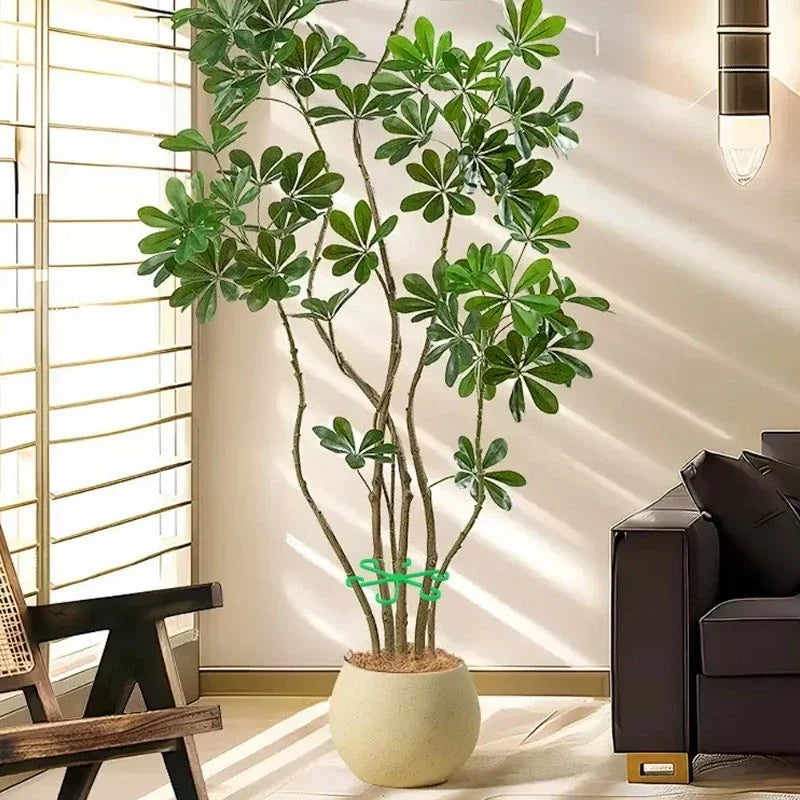 pinces support tiges plantes étoile verte boucles hydroponie maintien branches pots fleurs