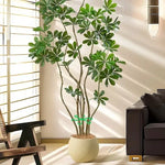 pinces support tiges plantes étoile verte boucles hydroponie maintien branches pots fleurs