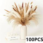 bouquet fleurs séchées pampas naturel beige marron blanc décoration maison anniversaire mariage rustic