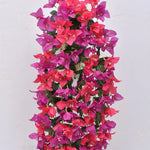 guirlande artificielle fleurs violet rouge blanc moderne intérieur décoration maison anniversaire fête