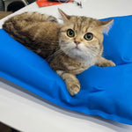 tapis positionnement animal bleu gonflable tissu lisse 100cm 60cm 60cm 40cm
