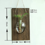 vases murals transparents bois marron plantes vertes deco bohème minimaliste suspension chambre salon