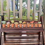 pots terre cuite drainages succulentes fleurs vertes jardin rustique bacs pépinière aspect poreux naturel