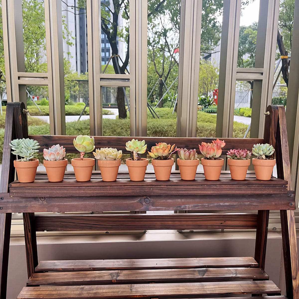 pots terre cuite drainages succulentes fleurs vertes jardin rustique bacs pépinière aspect poreux naturel
