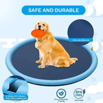 Piscine chiens jeu eau extérieure bleu disque sprinkler moderne mat