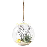 terrarium suspendu moderne végétation artificielle plante succulente gravier coloré 20cm 15cm 12cm 10cm 8cm