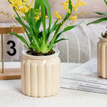 cache pot moderne couvercle bois couleur beige gris vert rouge bleu rayures verticales