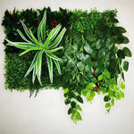 plantes artificielles vertes feuilles variées fruits rouges extérieures accrochées décoration naturelle maison exposition