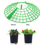 supports plante vert grille plastique anti putréfaction fruits jardinage pots fleurs