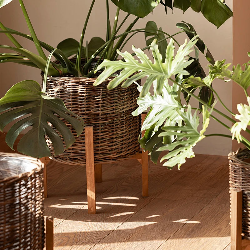 panier plantes tressé rotin marron clair brun foncé support bois intérieur extérieur salon balcon