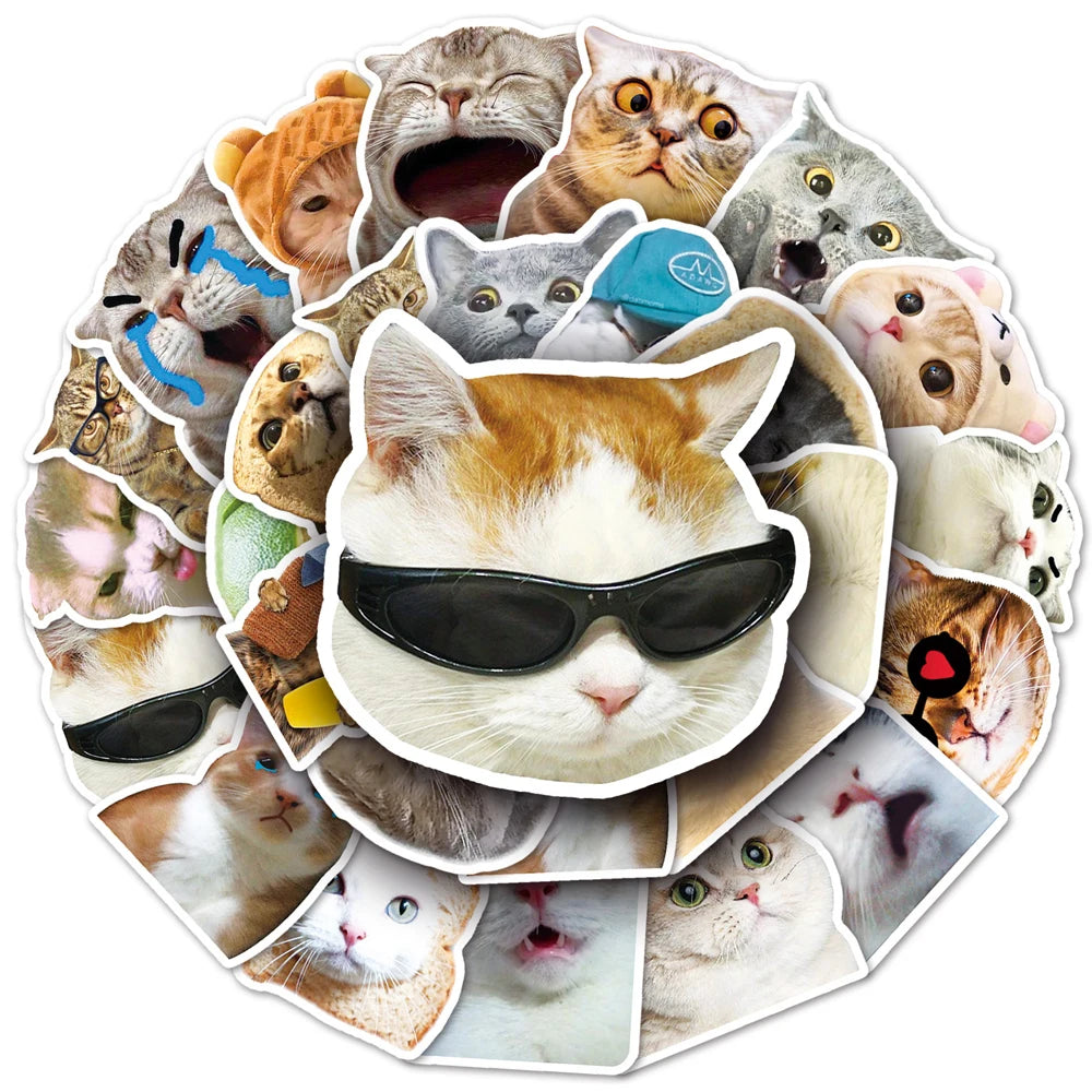 stickers adhésifs chats expressions faciles utiliser variés cartoongrats décoration jouets différents amusants